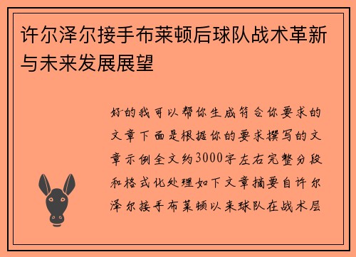 许尔泽尔接手布莱顿后球队战术革新与未来发展展望